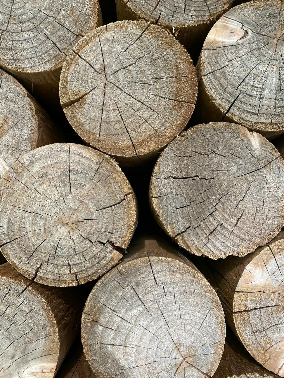 Material Selection
